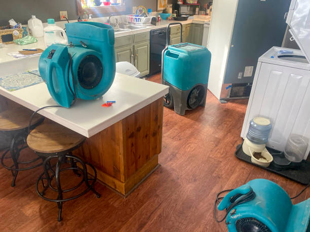 Best Sewage cleanup and water damage restoration  in Trezevant, TN