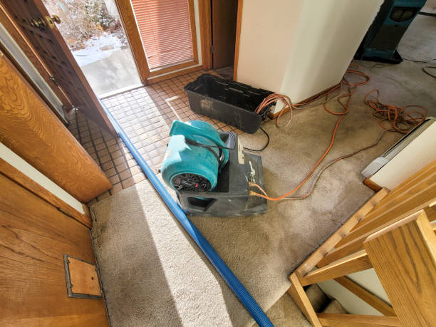 Best Emergency water damage restoration  in Trezevant, TN