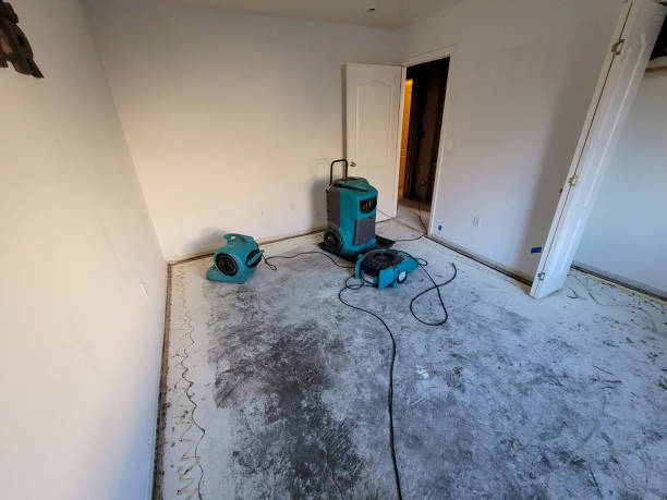 Water damage restoration process in Trezevant, TN