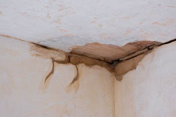 Best Basement water damage restoration  in Trezevant, TN