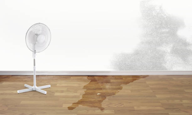 Best Flood damage cleanup  in Trezevant, TN