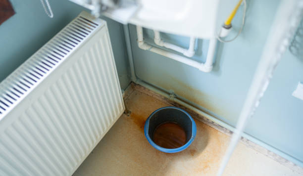 Reliable Trezevant, TN Water damage restoration Solutions