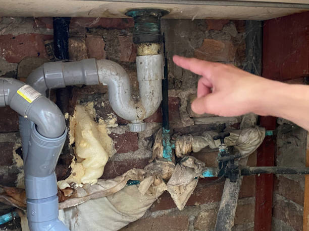 Best Ceiling water damage repair  in Trezevant, TN