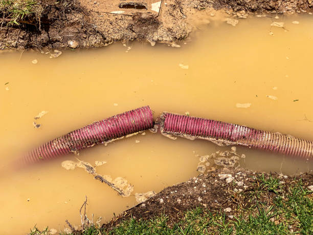 Best Residential water damage restoration  in Trezevant, TN